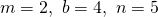 m=2, \ b=4, \ n=5 